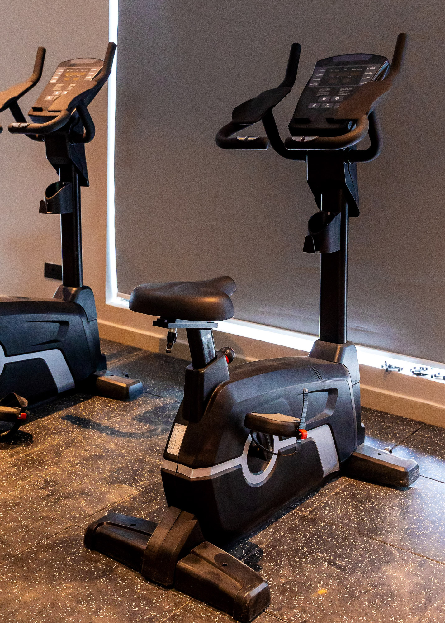 State of the Art Gym